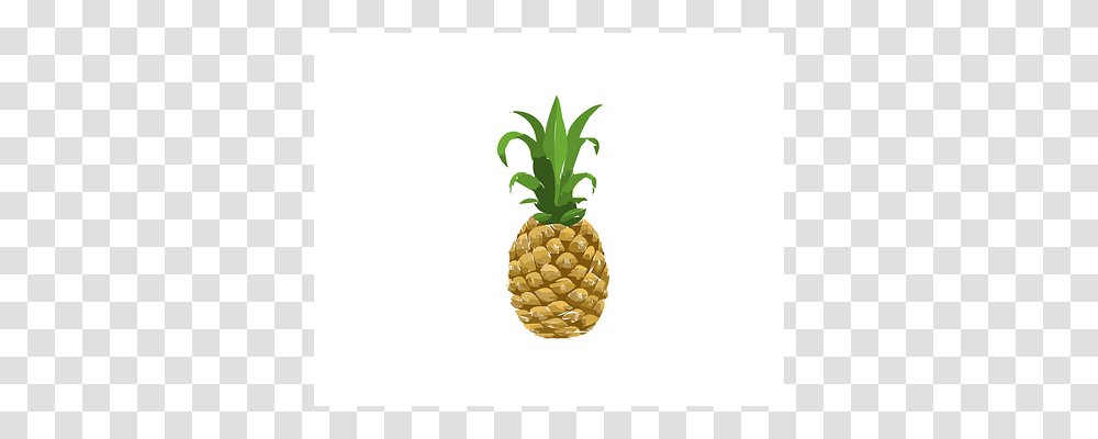 Food Plant, Pineapple, Fruit Transparent Png