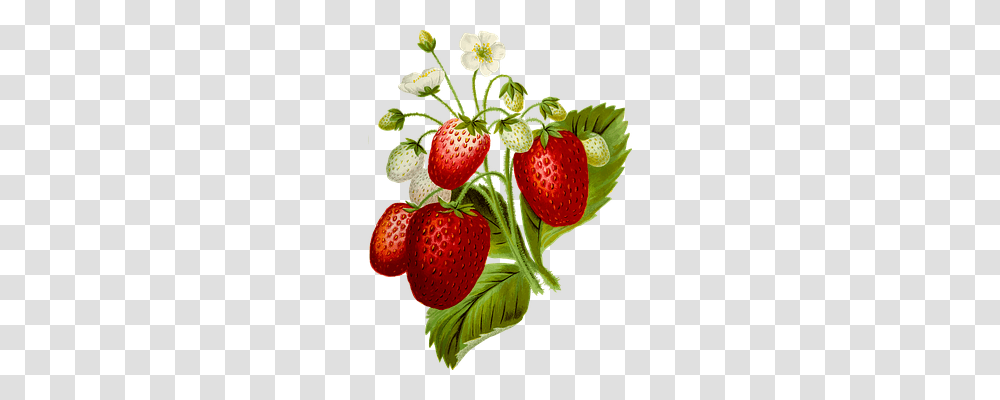Food Strawberry, Fruit Transparent Png