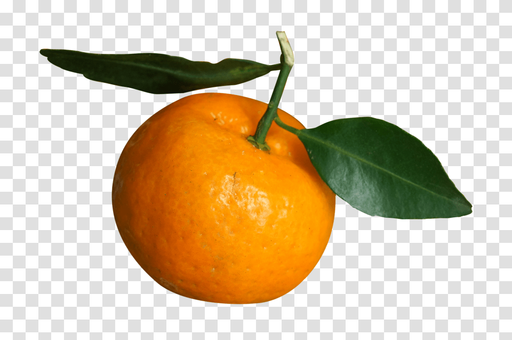 Food Citrus Fruit, Plant, Orange, Grapefruit Transparent Png