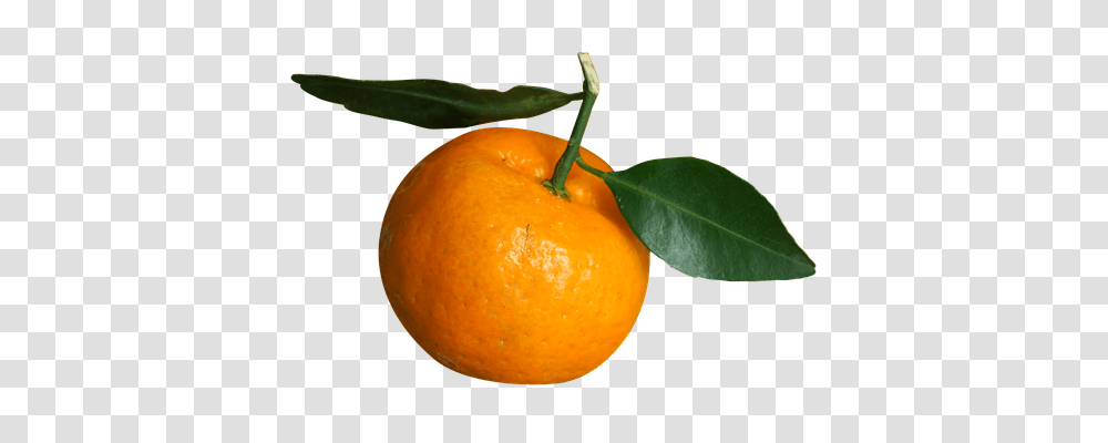 Food Citrus Fruit, Plant, Orange, Grapefruit Transparent Png