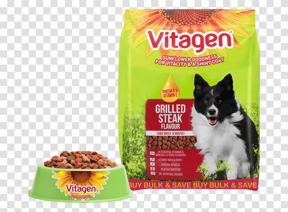 Food And Bowl Cat Food In Bowl, Dog, Pet, Canine, Animal Transparent Png