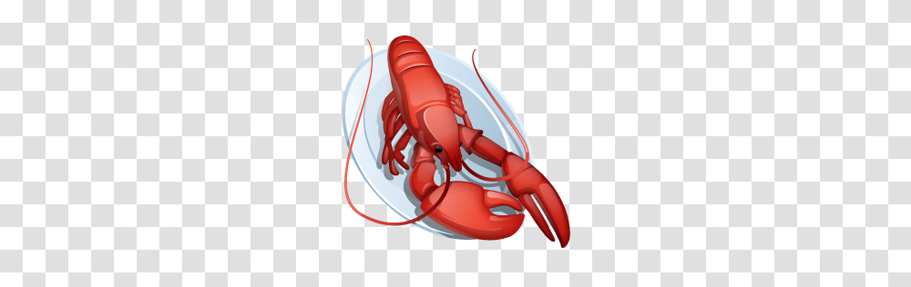 Food And Drinks, Lobster, Seafood, Sea Life, Animal Transparent Png