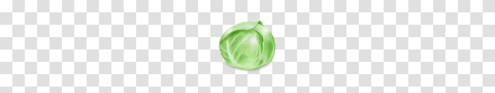 Food And Drinks, Plant, Cabbage, Vegetable, Head Cabbage Transparent Png