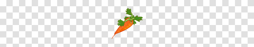 Food And Drinks, Plant, Carrot, Vegetable Transparent Png
