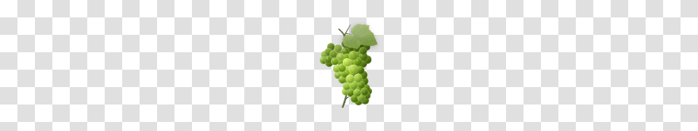 Food And Drinks, Plant, Grapes, Fruit, Tennis Ball Transparent Png