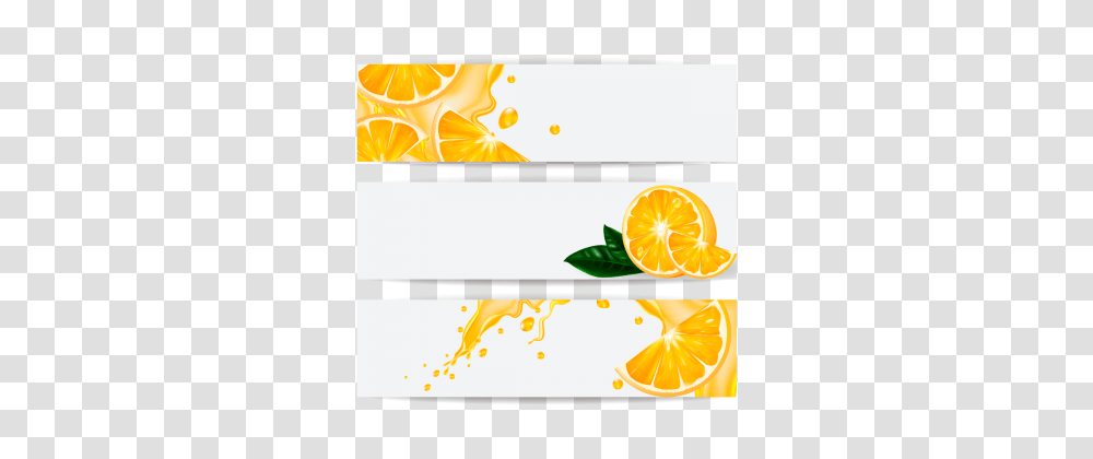 Food Banner Images Vectors And Free Download, Orange, Citrus Fruit, Plant Transparent Png