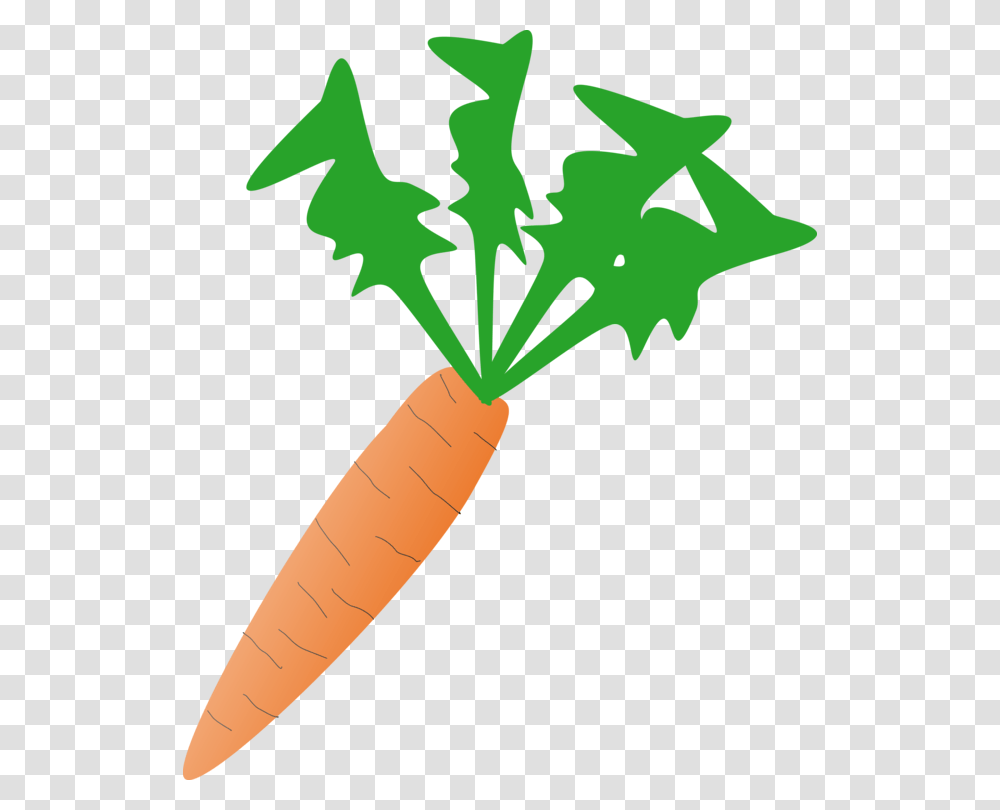 Food Cartoon Free Salad Plant Carrot Vegetable Carrot Clip Art Transparent Png