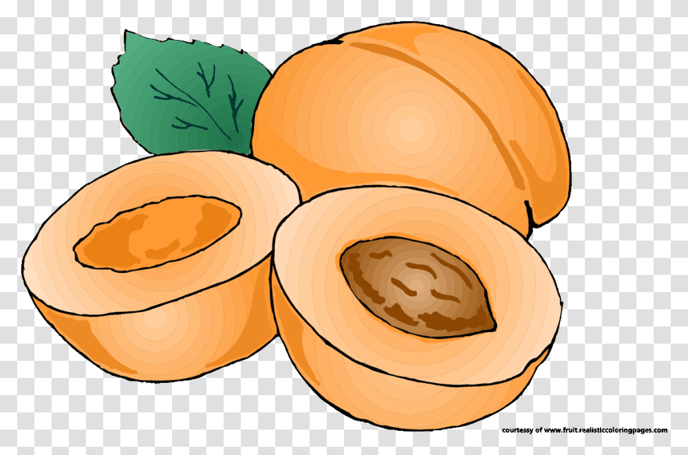 Food Clipart Pumpkin Fruit Royalty Free Transprent, Apricot, Produce, Plant, Grain Transparent Png