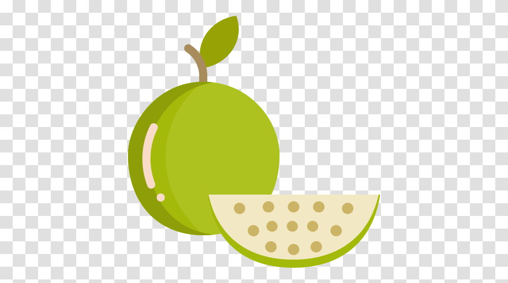 Food Fruit Fruits Guava Icon Clip Art, Tennis Ball, Sport, Sports, Plant Transparent Png