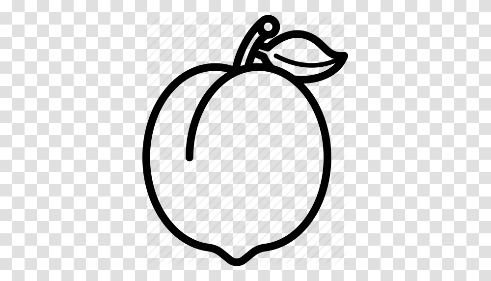 Food Fruit Fruits Peach Peaches Icon, Racket, Drum, Musical Instrument Transparent Png