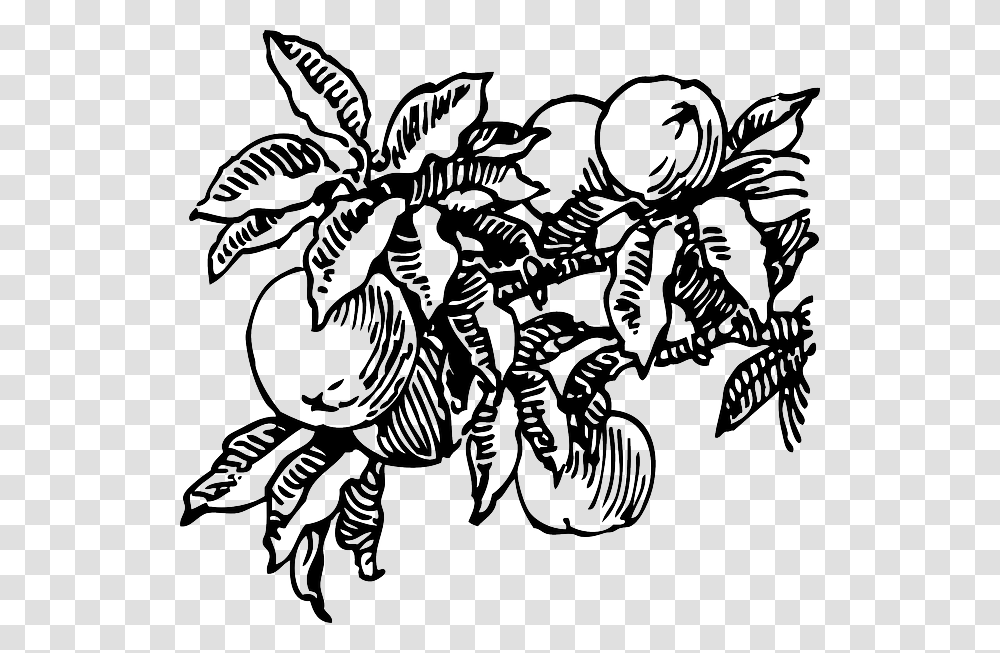 Food Fruit Outline Plants Tree Branch Peach Peach Clip Art, Pattern, Stencil, Floral Design Transparent Png
