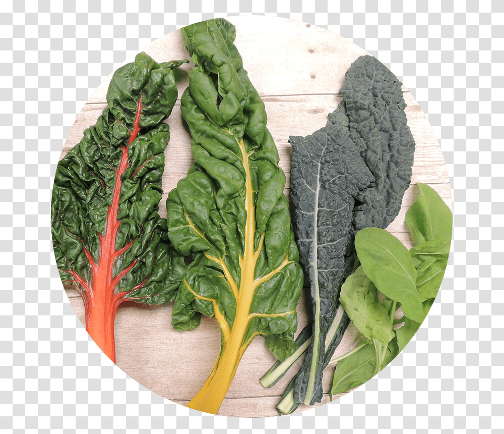 Food Green Leafy Vegetables, Plant, Kale, Cabbage, Pineapple Transparent Png