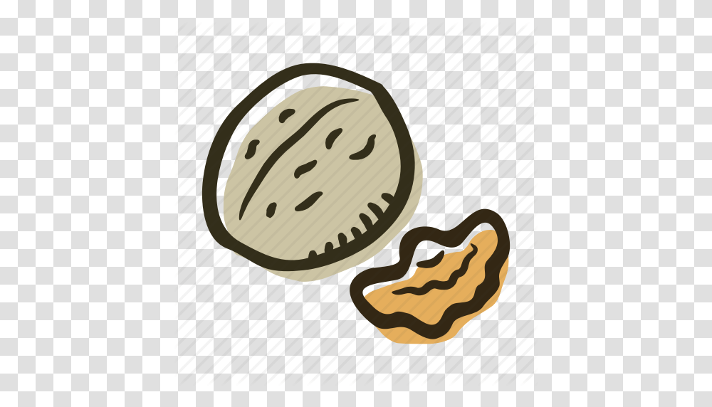 Food Healthy Nut Nuts Protein Snack Walnut Icon, Plant, Vegetable, Clock Tower, Architecture Transparent Png