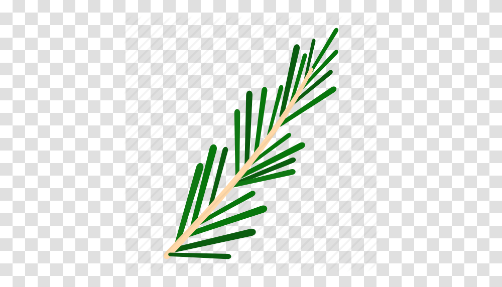 Food Herb Ingredient Plant Rosemary Spice Thyme Icon, Leaf, Grass, Seasoning Transparent Png