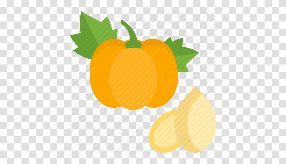 Food Herbs Pumpkin Seed Icon, Plant, Vegetable, Produce, Carrot Transparent Png