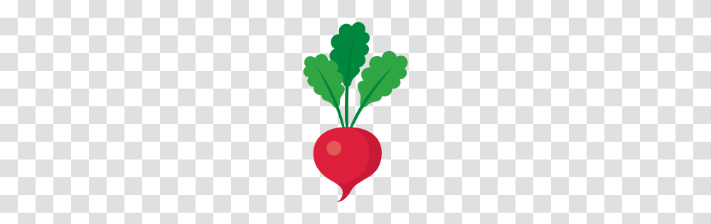 Food Icon Myiconfinder, Plant, Vegetable, Radish Transparent Png