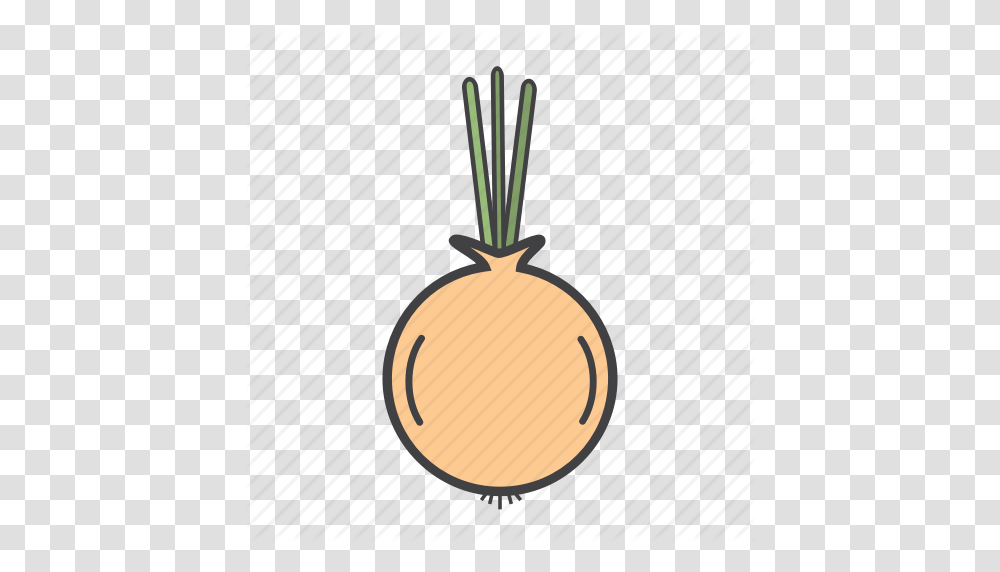 Food Ingredients Onion Pizza Topping Icon, Plant, Root, Tree, Vegetable Transparent Png