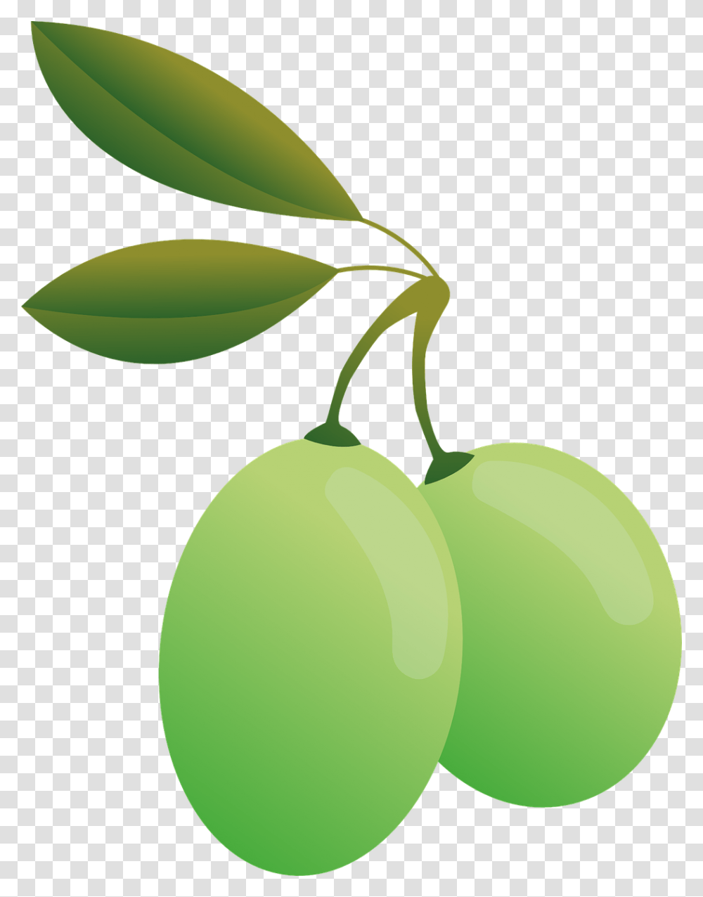 Food Olives Green Oil Olive Plants Food Green O, Tennis Ball, Sport, Sports, Leaf Transparent Png