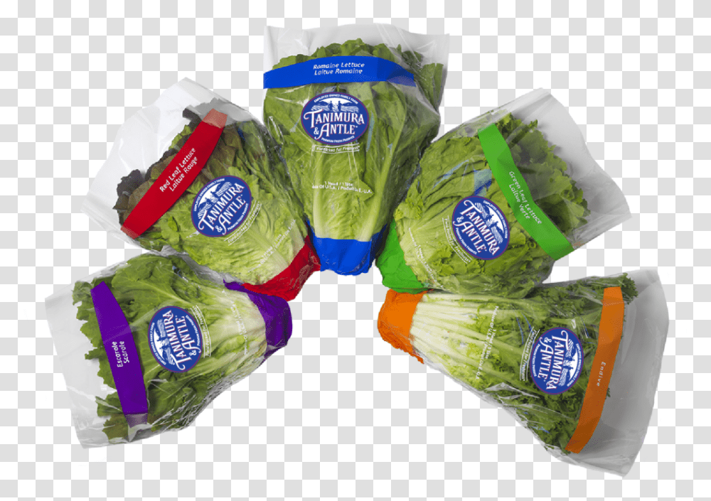 Food, Plant, Vegetable, Cabbage, Produce Transparent Png