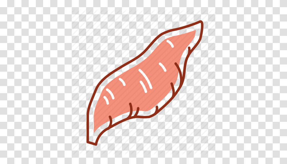 Food Root Sweet Potato Vegetable Icon, Plant, Produce, Yam, Vegetation Transparent Png