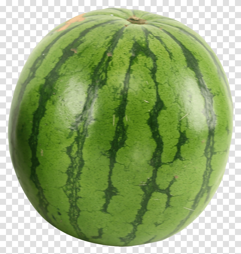 Food Watermelon, Tennis Ball, Sport, Sports, Plant Transparent Png