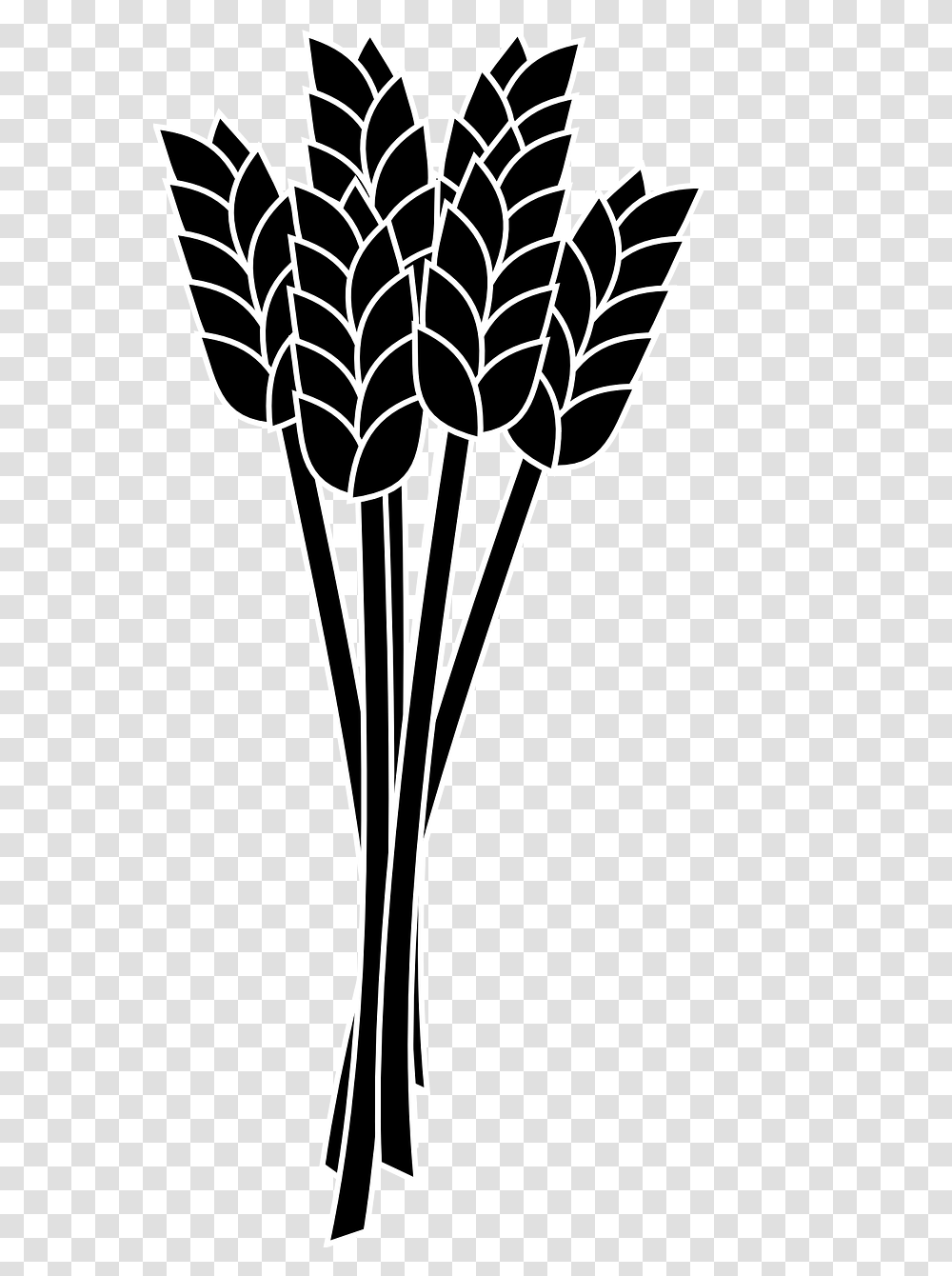 Food Wheat Spike Bunch Grain Cereal Agriculture, Flower, Plant, Blossom Transparent Png