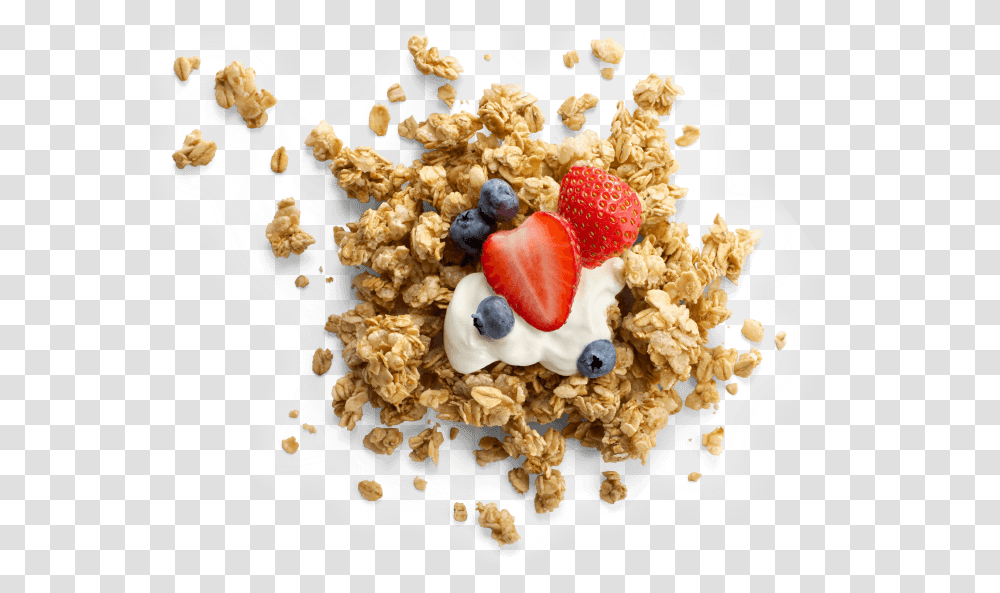 Foodcuisinebreakfast Foodcomplete Wheat Bran Granola With Fruit, Oatmeal, Honey Bee, Insect, Invertebrate Transparent Png