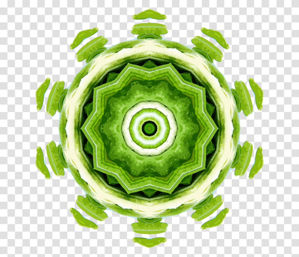 Foodfruitgreen Circle, Ornament, Pattern, Plant, Fractal Transparent Png