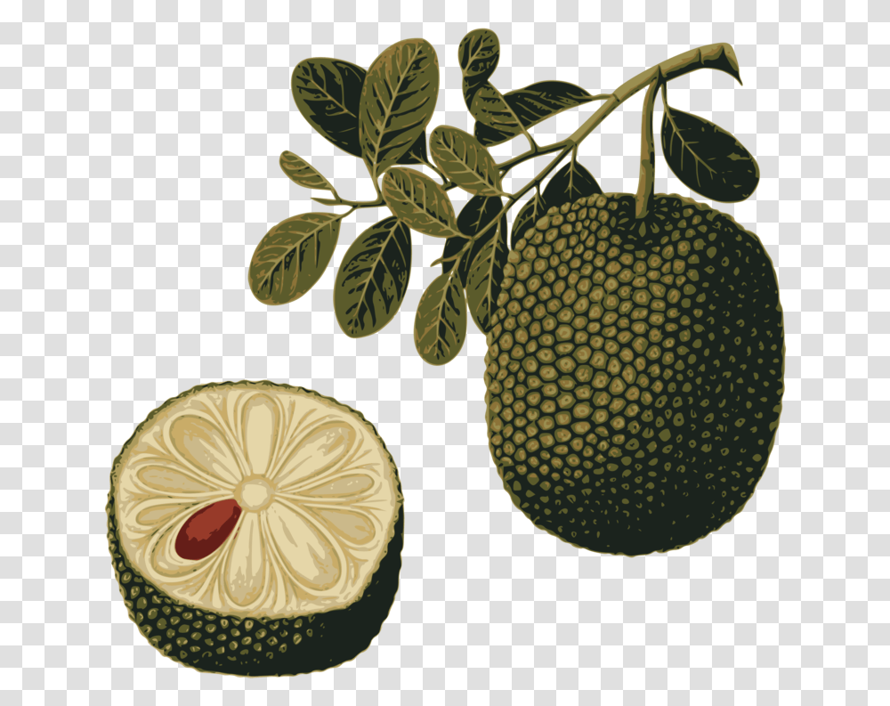 Foodfruittropical Fruit, Plant, Citrus Fruit, Produce, Lemon Transparent Png