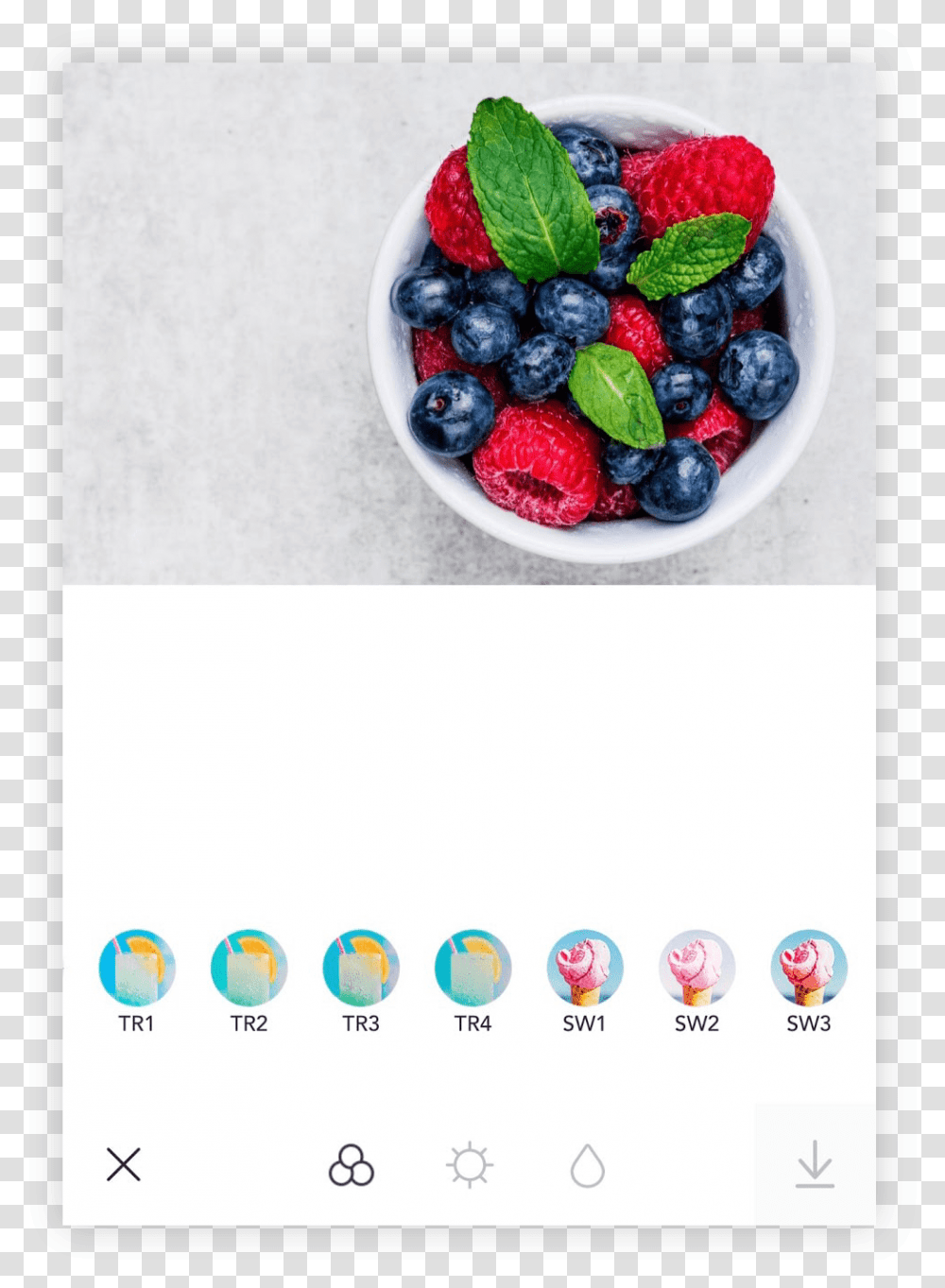 Foodie Fruit, Blueberry, Plant Transparent Png