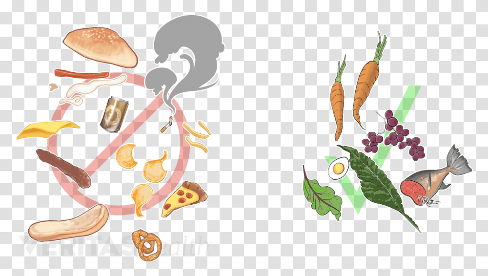 Foods Are Bad For Fibromyalgia, Plant, Animal Transparent Png