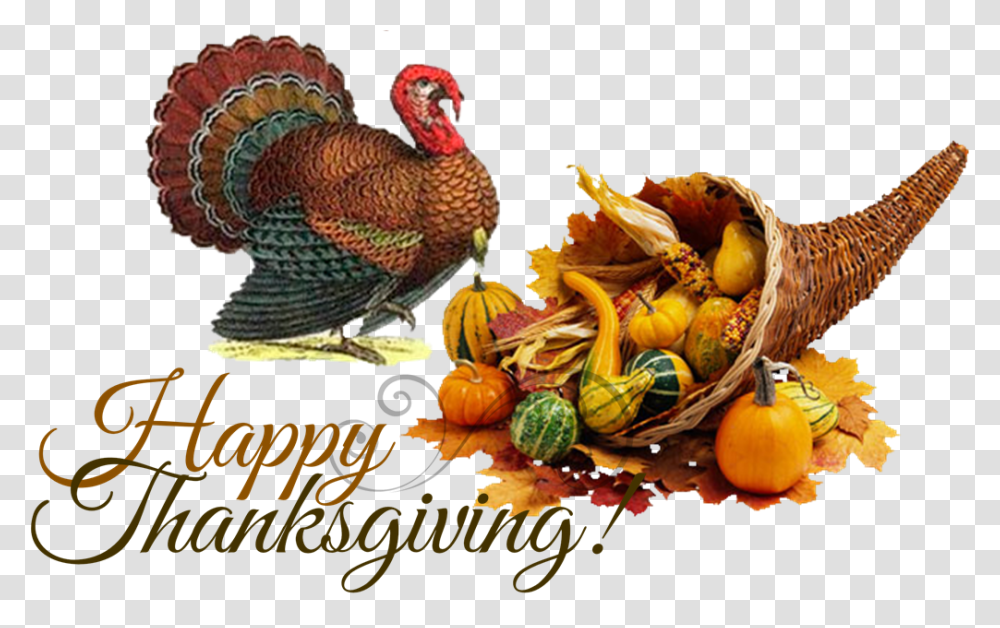 Foods Found At The First Thanksgiving, Chicken, Poultry, Fowl, Bird Transparent Png