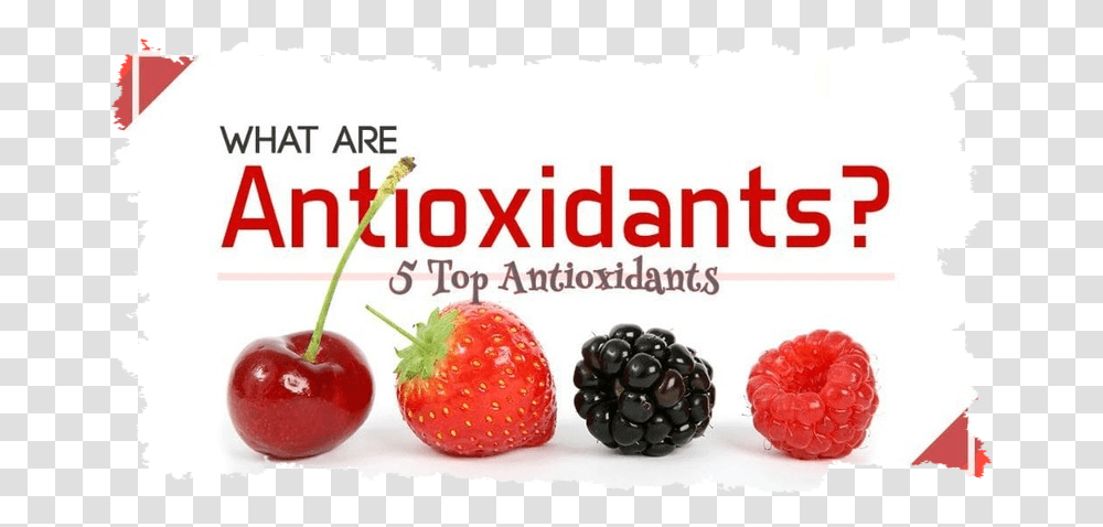 Foods High In Antioxidants Ainul Aishah Tutti Frutti, Plant, Fruit, Raspberry, Strawberry Transparent Png