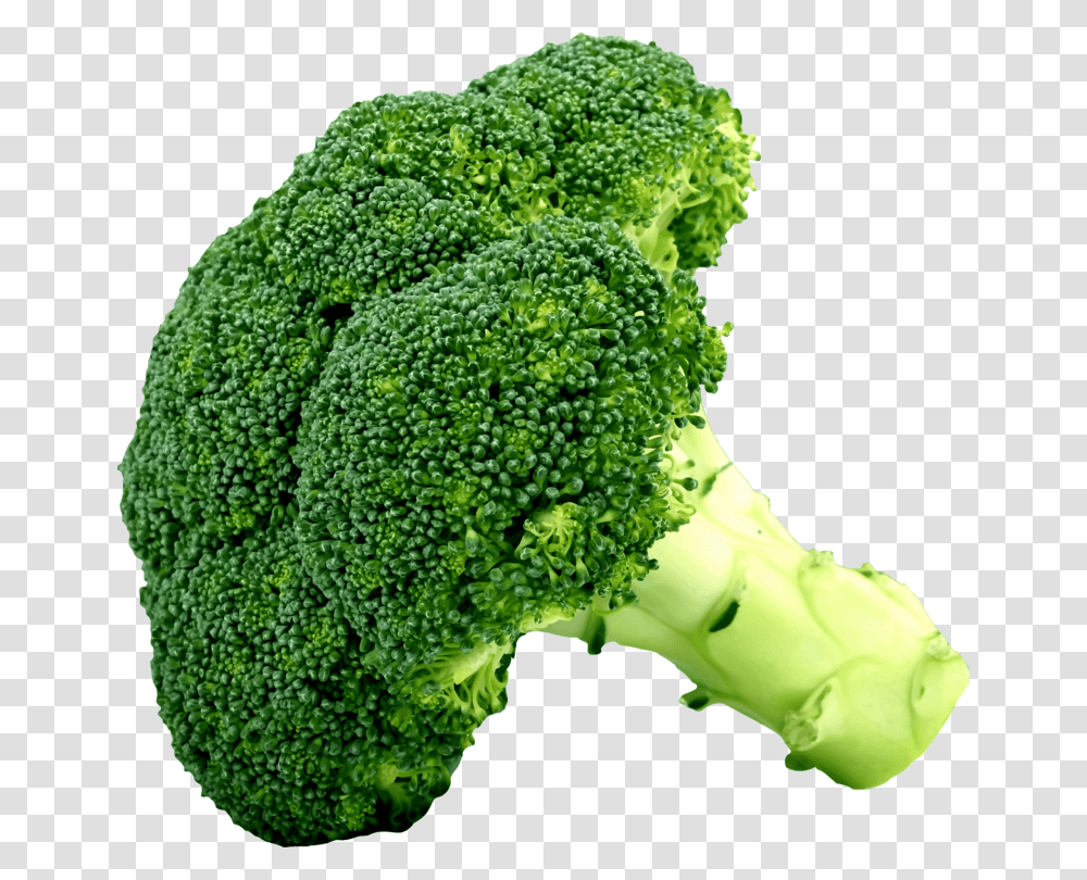 Foodsuperfoodvegetable Clipart Picture Of Broccoli, Plant Transparent Png