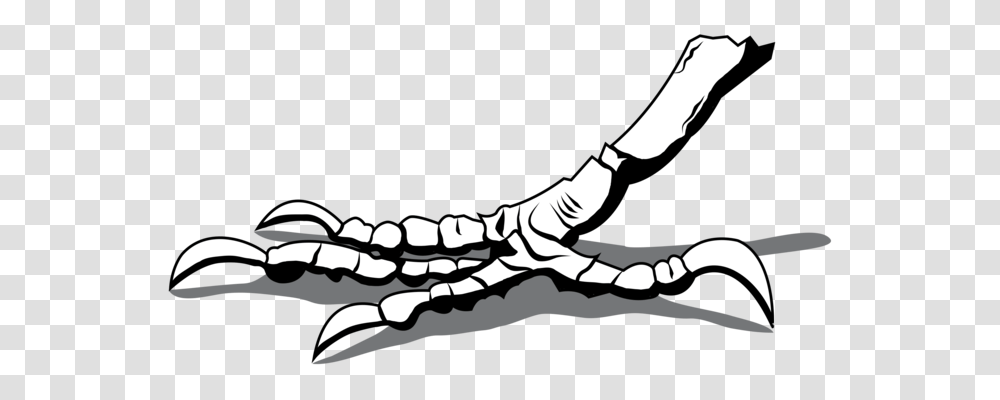 Foot Hand Knee Human Leg, Person, Skeleton, Hook, Claw Transparent Png