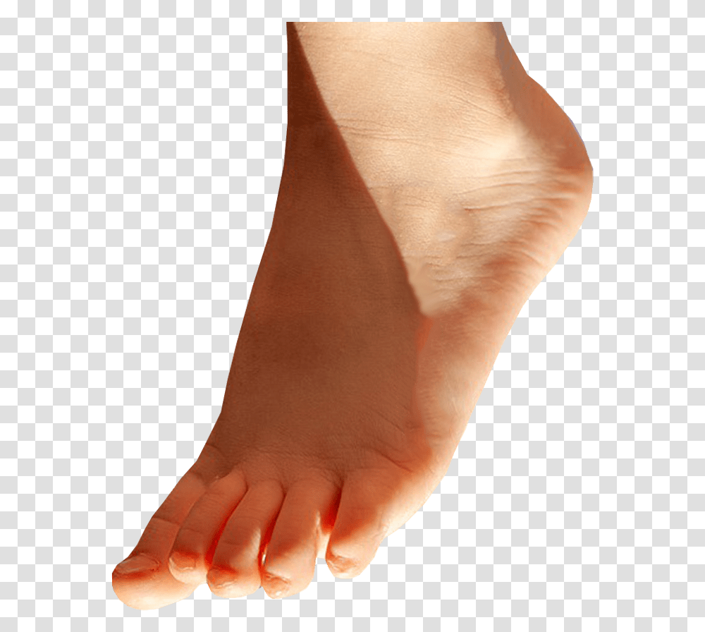 Foot Pointing Down Background Feet, Person, Human, Toe, Ankle Transparent Png