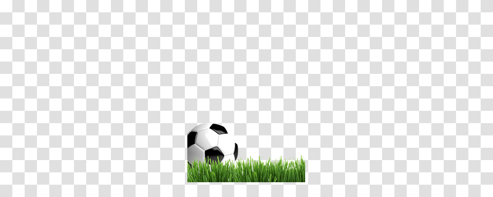 Football Sport, Soccer Ball, Team Sport, Sports Transparent Png