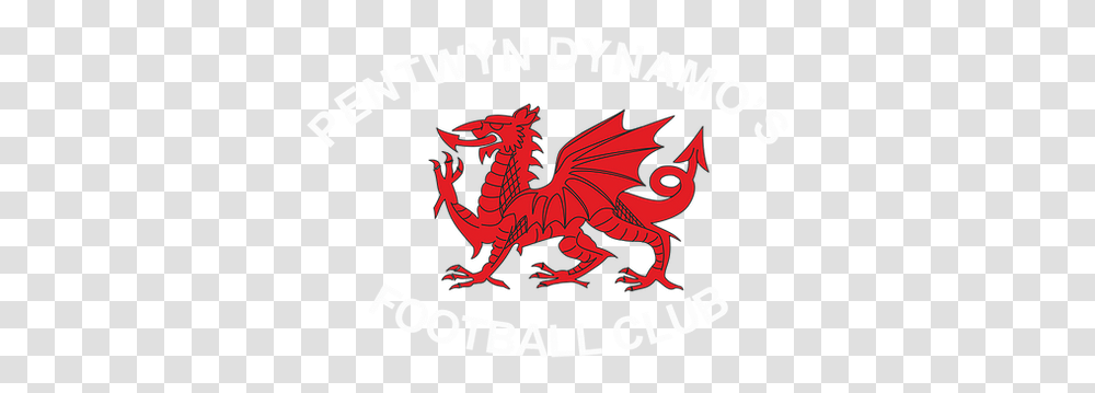 Football Club Shops Classic Sportswear Wales Cardiff City Welsh Flag, Dragon, Logo, Symbol, Trademark Transparent Png