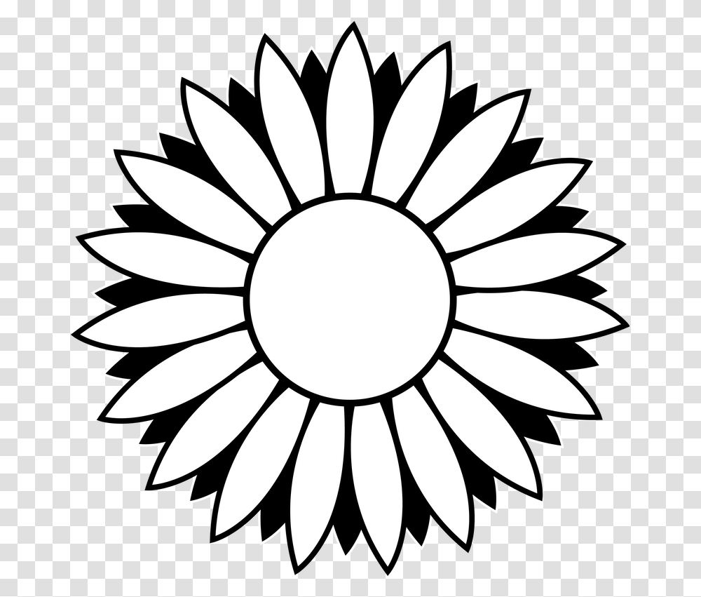 Football Flowers Cliparts, Plant, Blossom, Daisy, Daisies Transparent Png