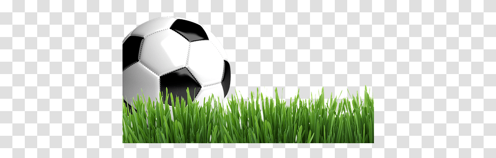 Football With Grass, Soccer Ball, Team Sport, Sports, Plant Transparent Png