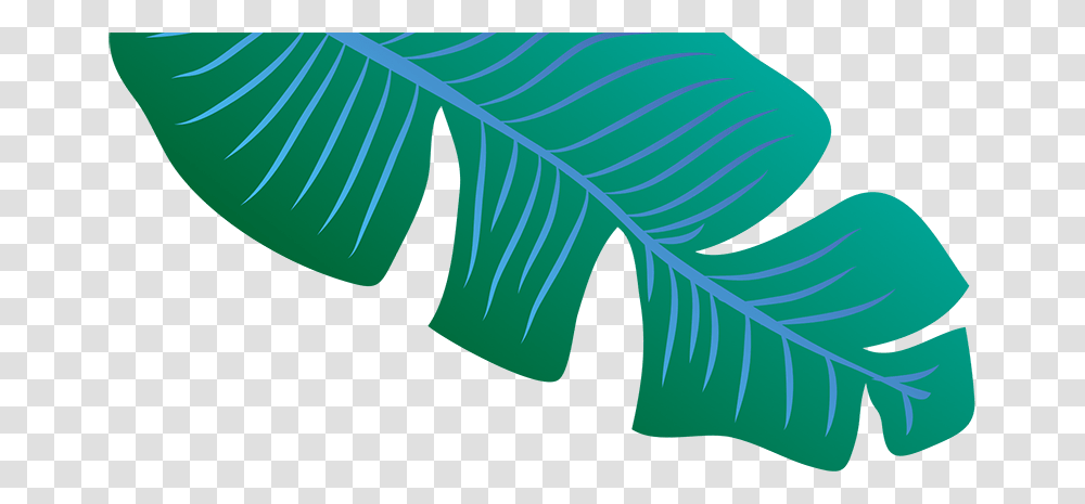 Footer Leaf Image Blue Banana Leaf, Plant, Green, Fern, Texture Transparent Png