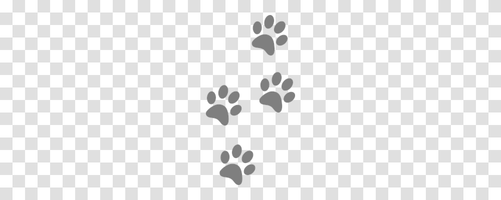 Footprints Transparent Png