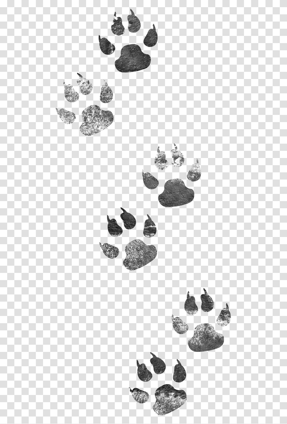 Footprints Dog Cat Image High Quality Clipart Animal Tracks Clip Art, Stencil, Silhouette Transparent Png