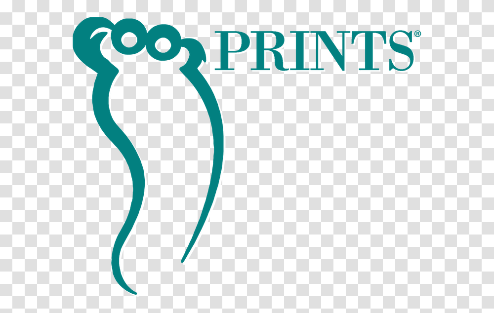 Footprints Inc Graphic Design, Alphabet Transparent Png