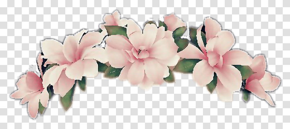 For Free Flower Crown, Petal, Plant, Hair Slide, Accessories Transparent Png