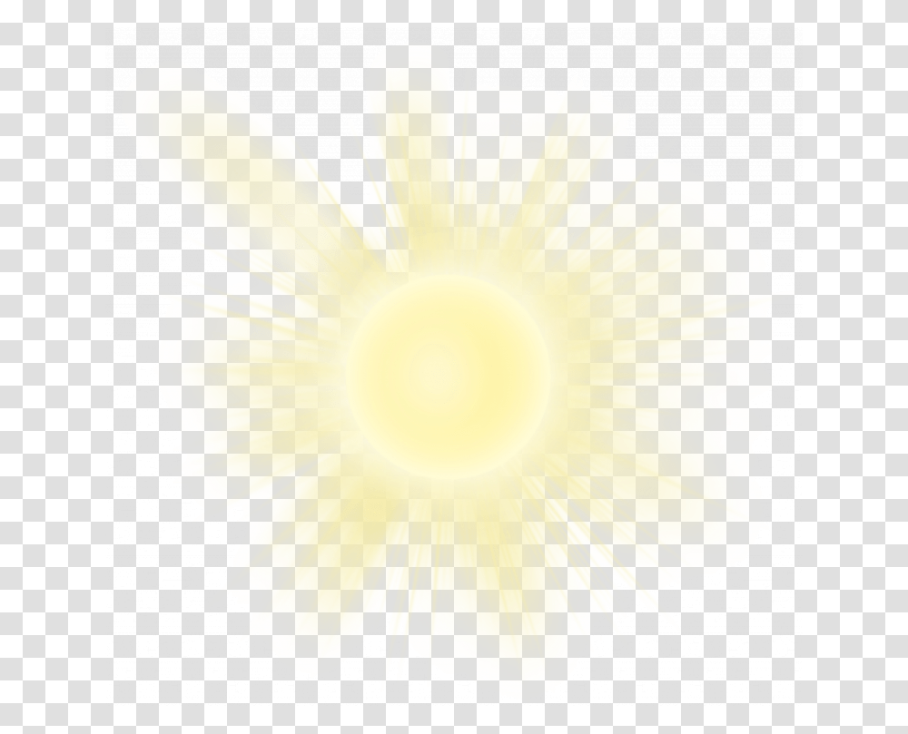 For Free Sun Picture Realistic Sun Background, Petal, Flower, Plant, Sea Life Transparent Png