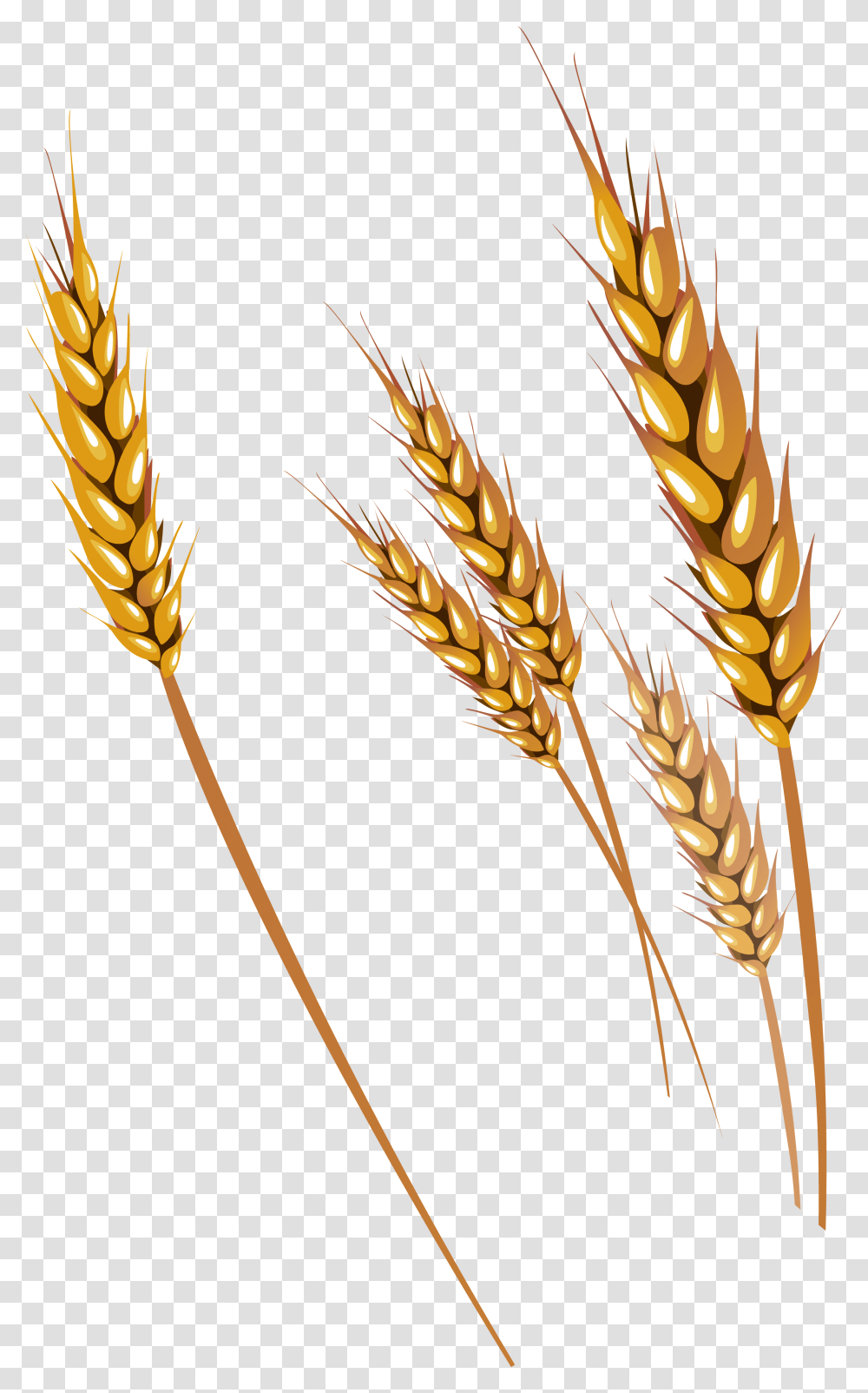 For Mobile Background Wheat Stalk, Plant, Construction Crane, Vegetable, Food Transparent Png