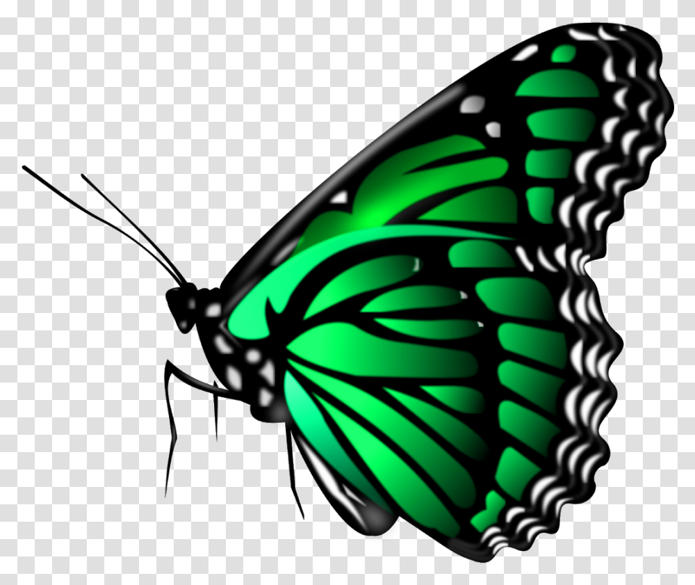 For Picsart, Insect, Invertebrate, Animal, Butterfly Transparent Png
