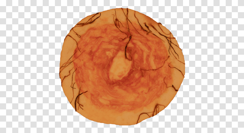 For Pizza Circle, Fossil, Wood, Soil, Food Transparent Png