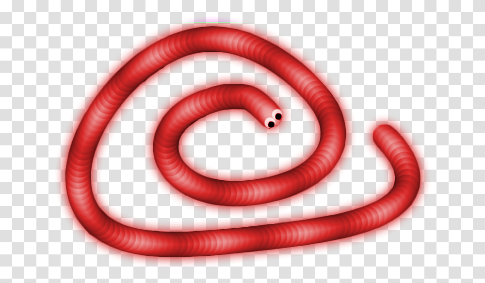 For Psd All Skins And How To Use Slither Io Snake, Spiral, Animal, Coil, Worm Transparent Png
